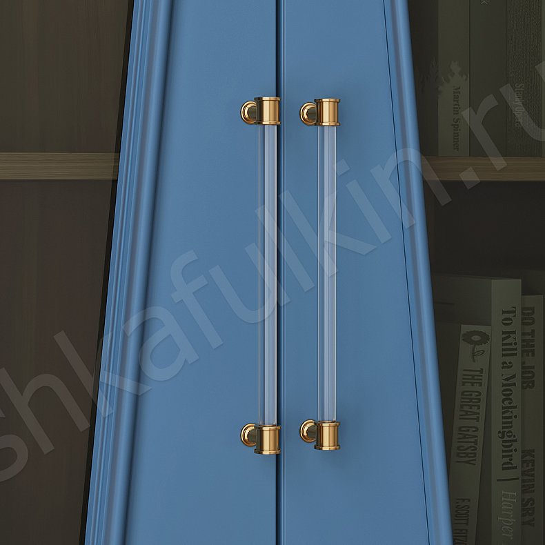 Шкаф Мерседес 2 двери Цветной Синий Темные Современный 2х створчатые Гостиная Для книг Для декора 3