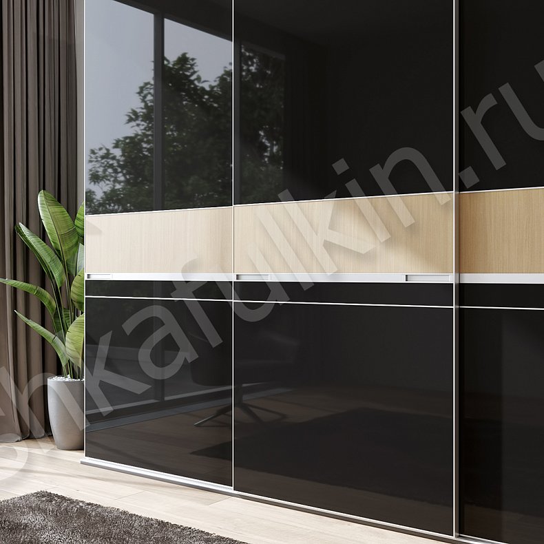 Изображение Шкаф-купе Кардинал Черный Хай-тек 3х створчатые Гостиная Для вещей 2