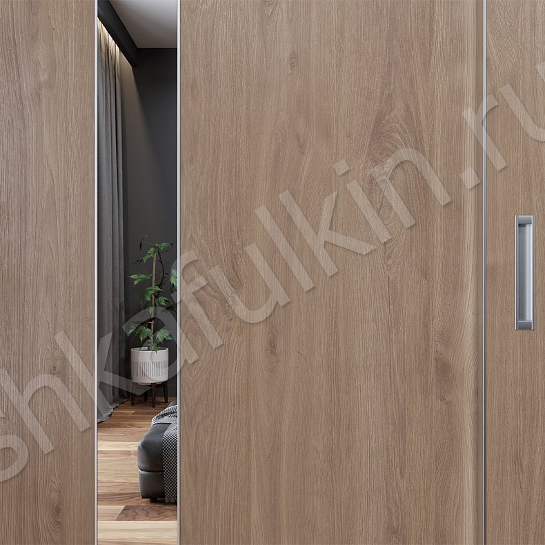 Встроенный шкаф-купе Кальвадос Древесный Светлые Современный 3х створчатые Гостиная Для книг Для вещей 4