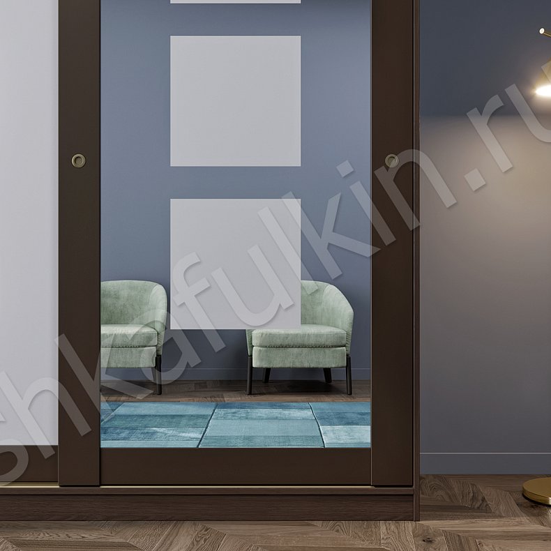 Шкаф-купе Шарль Темные Модерн 2х створчатые Гостиная Для вещей 4
