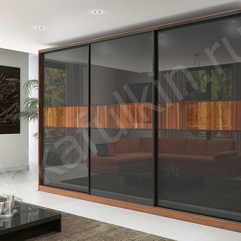 Корпусный шкаф-купе Торрес Ола Темные Древесный Черный Модерн 3х створчатые Гостиная Для вещей 2