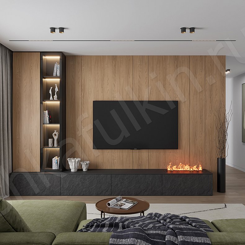 Стенка Розенталь Темные Древесный Черный Современный  Гостиная Под ТВ Для книг