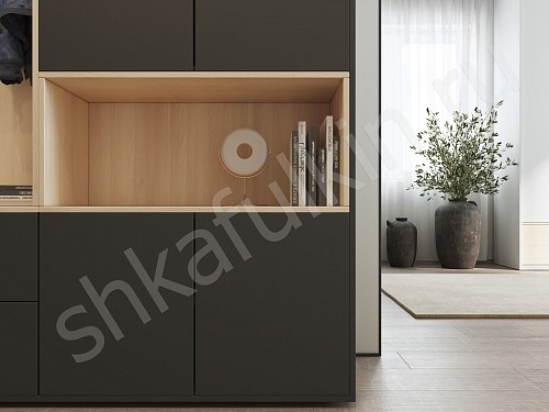 Изображение цвета Прихожая Мэрри  Минимализм 2х створчатые Прихожая 