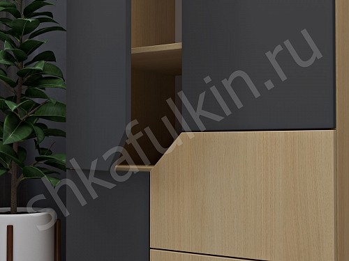 Изображение цвета Шкаф Сонум  Современный 2х створчатые  