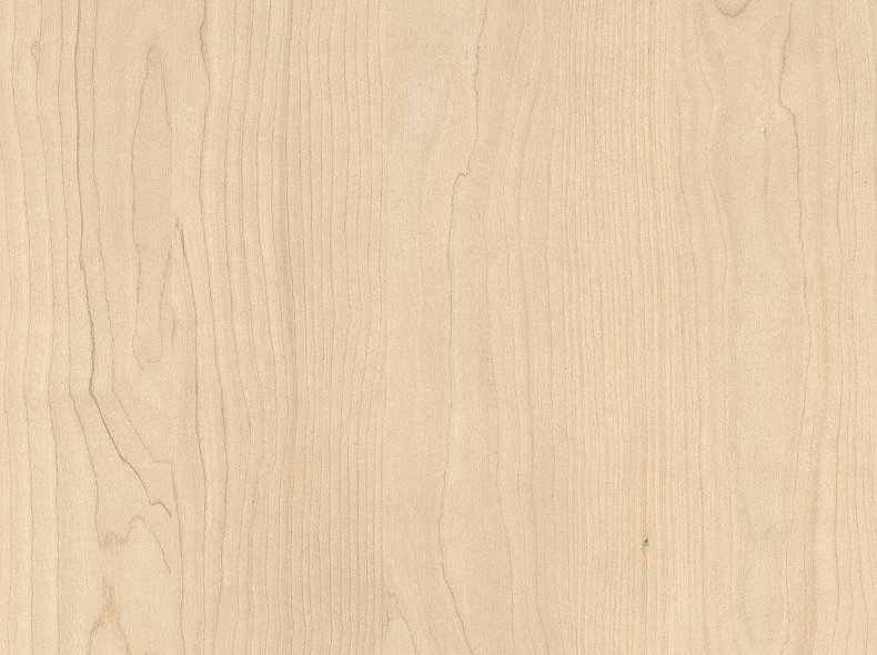 H1732 ST9 Береза песочная