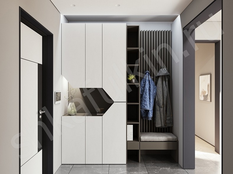 Изображение цвета Прихожая Сальма  Минимализм 2х створчатые Прихожая 