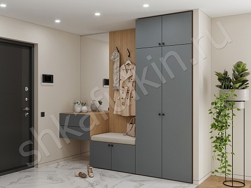 Изображение цвета Прихожая Олли  Минимализм 2х створчатые Прихожая 