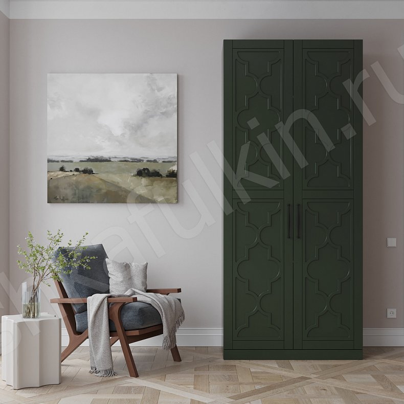 Изображение Шкаф 2 двери Пифагор Зеленый Темные Современный 2х створчатые Гостиная Для вещей 1