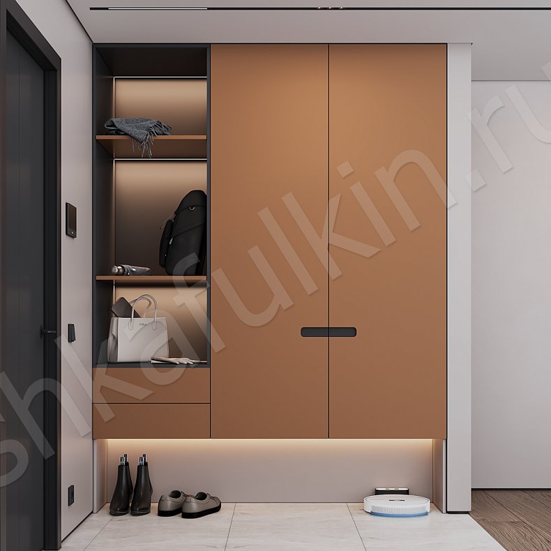 Прихожая Пантео Цветной Светлые Современный 2х створчатые Прихожая Для вещей 1