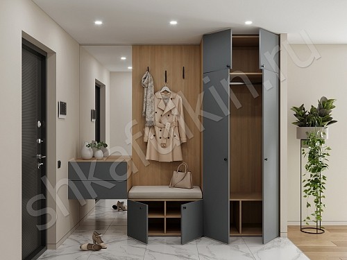 Изображение цвета Прихожая Олли  Минимализм 2х створчатые Прихожая 