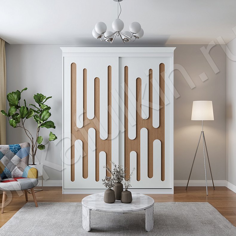 Корпусный шкаф-купе Сальвадор Светлые Древесный Белый Современный 2х створчатые Гостиная Для вещей 1