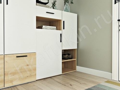 Изображение цвета Прихожая Лайк  Минимализм 2х створчатые Прихожая 