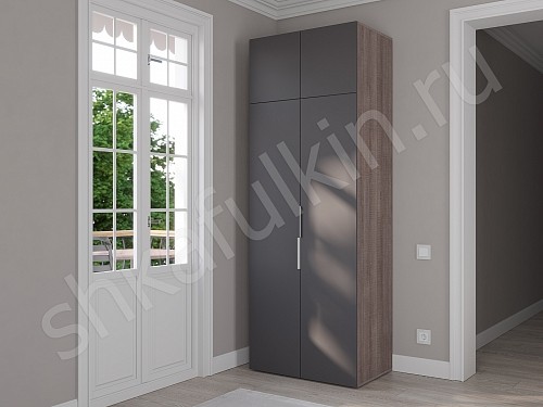 Изображение цвета Шкаф Тони Светлые Современный 2х створчатые  