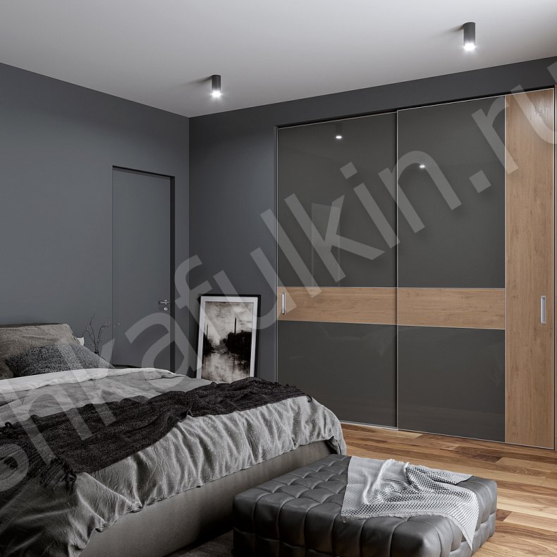 Шкаф-купе Мовимент Темные Древесный Черный Современный 2х створчатые Спальня Для вещей