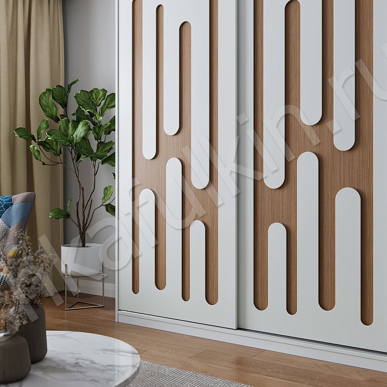 Корпусный шкаф-купе Сальвадор Светлые Древесный Белый Современный 2х створчатые Гостиная Для вещей 2