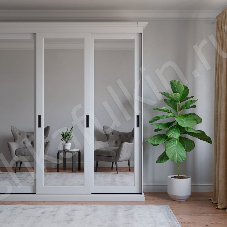 Шкаф-купе Аристон  Современный 3х створчатые Гостиная Для вещей 2