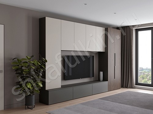 Изображение цвета Стенка Соло  Минимализм  Гостиная 