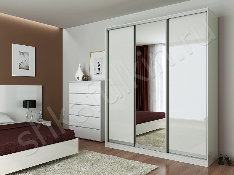 Шкаф-купе Плюмерия