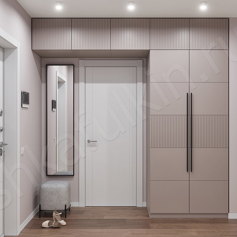 Прихожая Биркин Коричневый Светлые Современный 2х створчатые Прихожая Для вещей