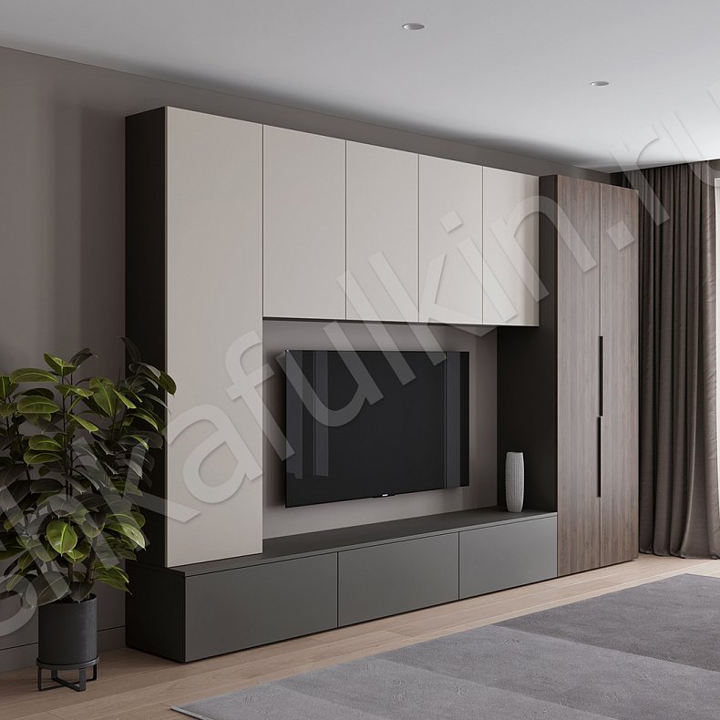 Изображение Стенка Соло Серый Белый Черный Древесный Светлые Темные Скандинавский 2х створчатые Гостиная Для книг Для декора Под ТВ 7