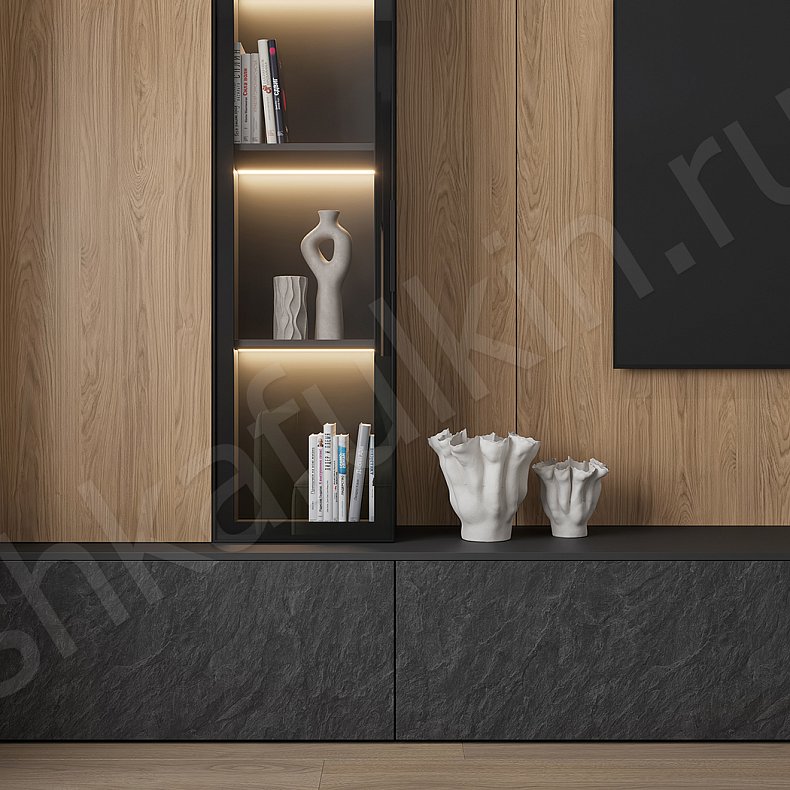 Изображение Стенка Розенталь Темные Древесный Черный Современный Гостиная Под ТВ Для книг 2