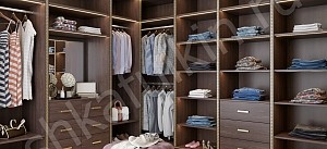 Гардеробная Вильям