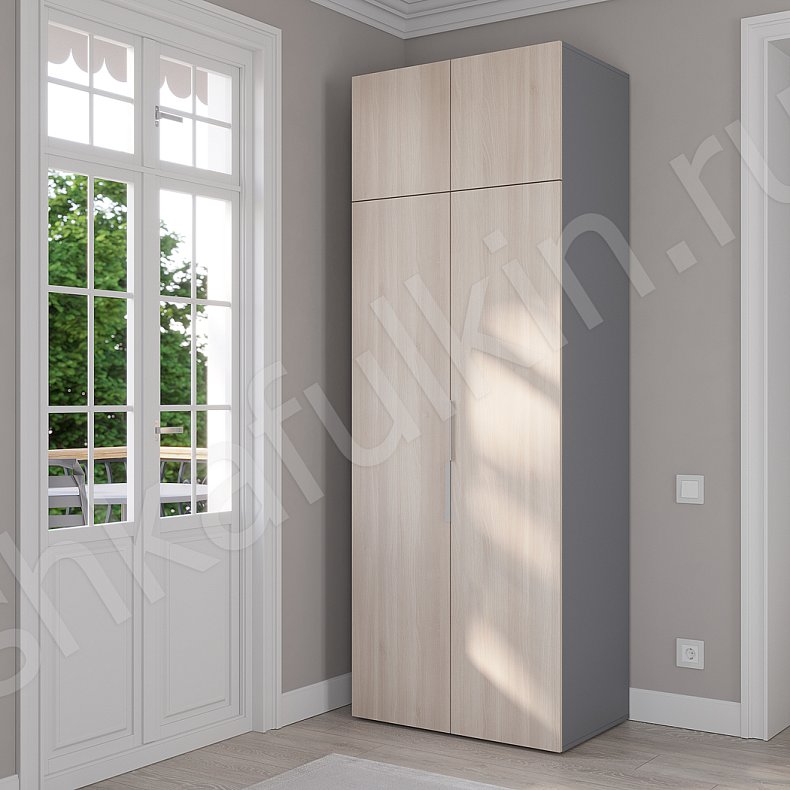 Изображение Шкаф Тони Темные Светлые Серый Коричневый Черный Белый Минимализм 2х створчатые Гостиная Для вещей 7