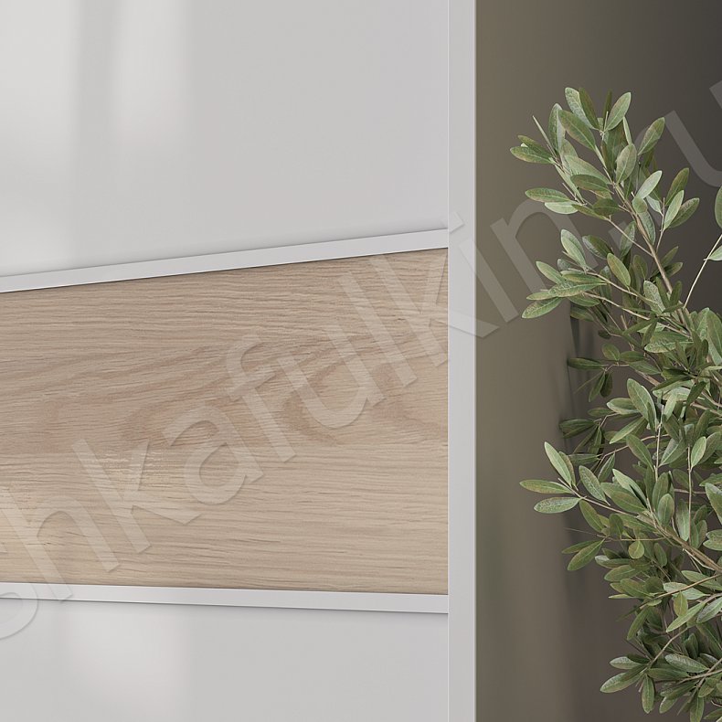 Шкаф-купе Руффало Светлые Современный 2х створчатые Гостиная Для вещей 3