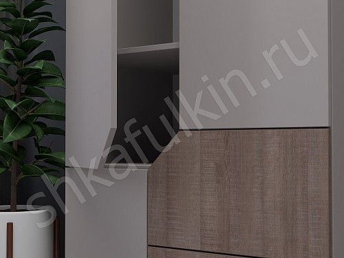 Изображение цвета Шкаф Сонум  Современный 2х створчатые  