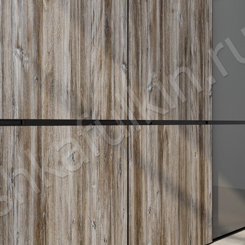 Изображение Шкаф-купе Форест Серый Темные Древесный Современный 4х створчатые Гостиная Для вещей 2