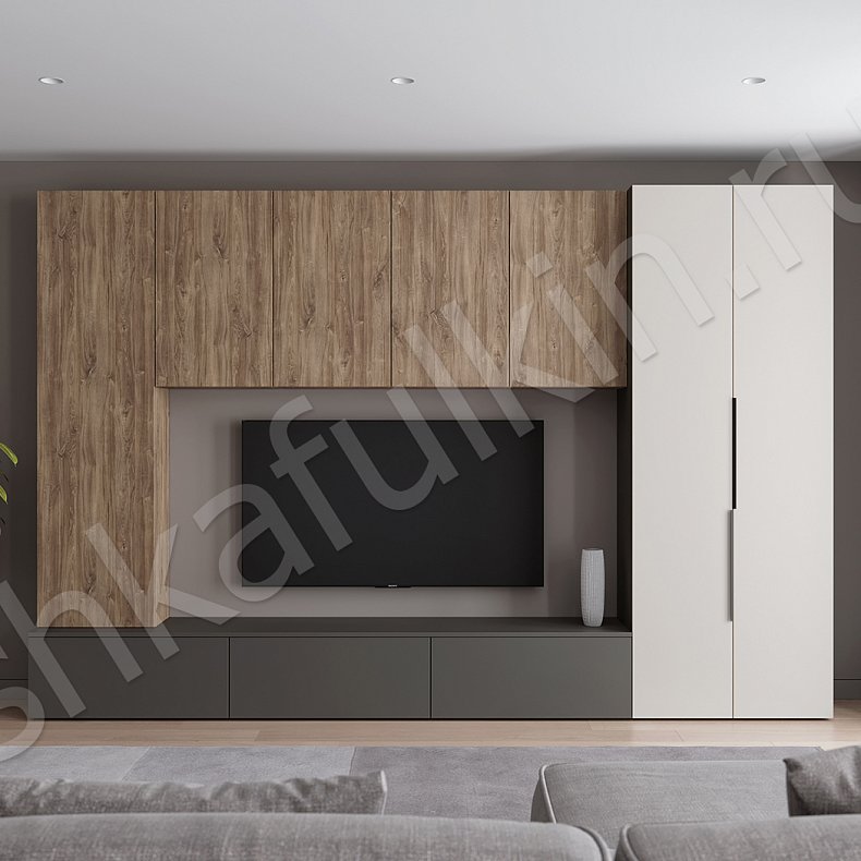 Изображение Стенка Соло Серый Белый Черный Древесный Светлые Темные Скандинавский 2х створчатые Гостиная Для книг Для декора Под ТВ 2