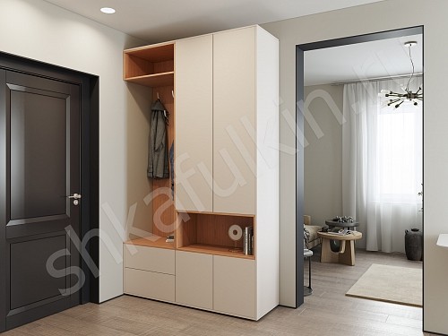 Изображение цвета Прихожая Мэрри  Минимализм 2х створчатые Прихожая 