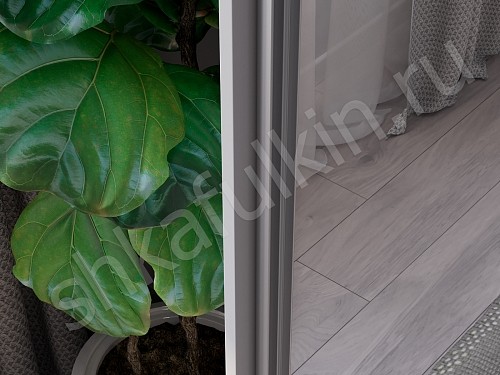 Изображение цвета Шкаф Зирро  Минимализм 2х створчатые Прихожая 