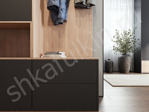 Прихожая Терри  Минимализм 2х створчатые Прихожая 