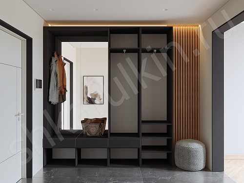 Изображение цвета Прихожая Ника  Минимализм 2х створчатые Прихожая 