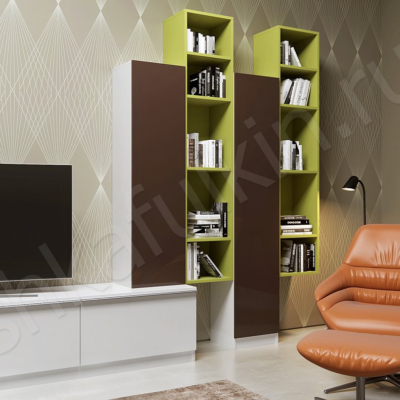 Изображение Стенка Бушерон Цветной Модерн 2х створчатые Гостиная Для вещей Под ТВ Для книг 3