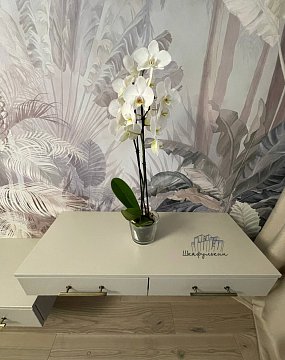 Изображение Заказ №8904     