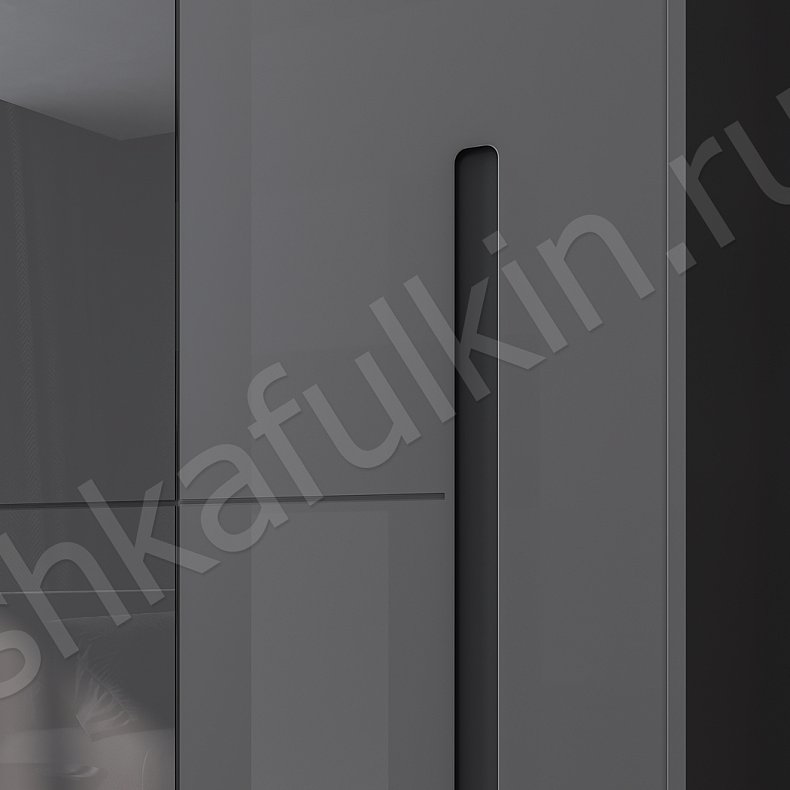 Шкаф-купе Авогадро Черный Современный 2х створчатые Спальня  3