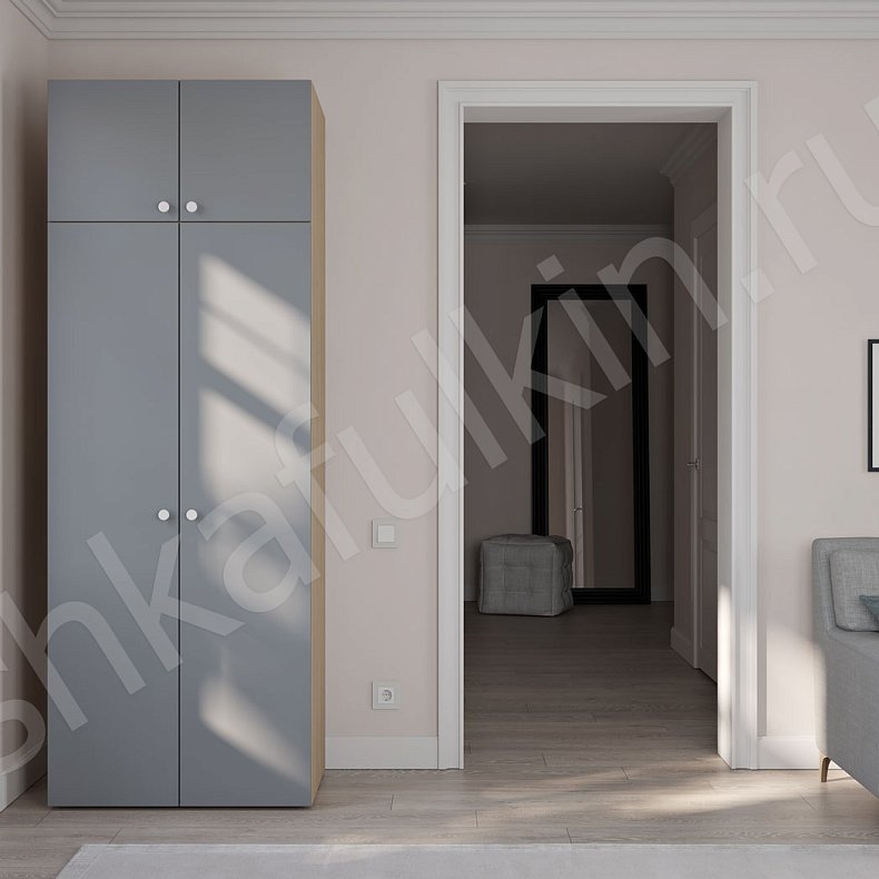 Изображение Шкаф Тони Темные Светлые Серый Коричневый Черный Белый Минимализм 2х створчатые Гостиная Для вещей 4