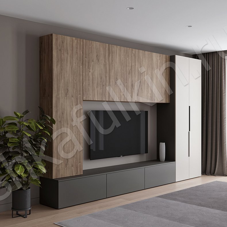 Изображение Стенка Соло Серый Белый Черный Древесный Светлые Темные Скандинавский 2х створчатые Гостиная Для книг Для декора Под ТВ 6