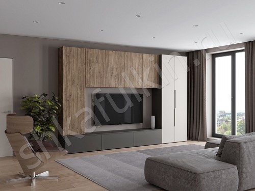 Изображение цвета Стенка Соло  Минимализм  Гостиная 