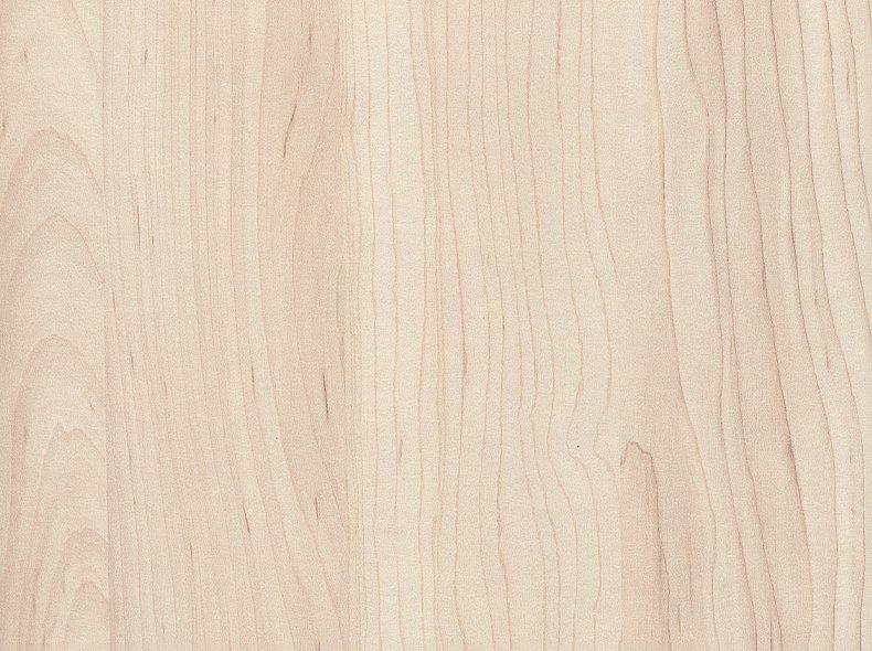 H3860 ST9 Клён сахарный шампань