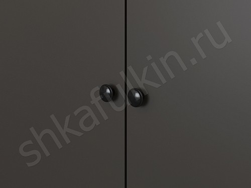 Изображение цвета Шкаф Фостер     