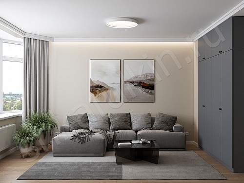 Изображение цвета Шкаф Фостер     