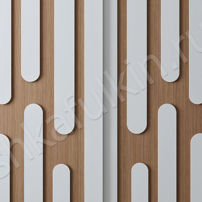 Корпусный шкаф-купе Сальвадор Светлые Древесный Белый Современный 2х створчатые Гостиная Для вещей 3