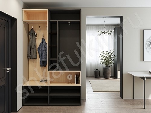 Изображение цвета Прихожая Мэрри  Минимализм 2х створчатые Прихожая 
