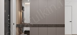 Шкаф в прихожую Шондер