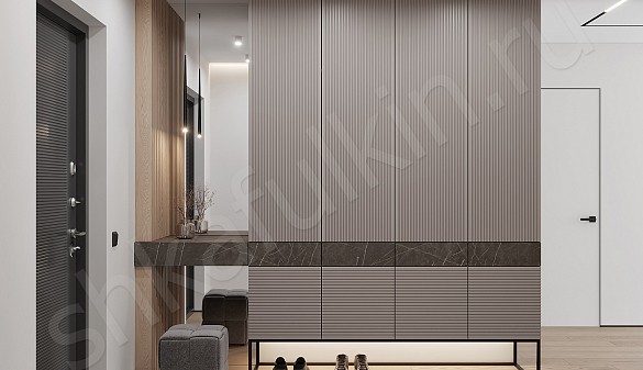 Шкаф в прихожую Шондер