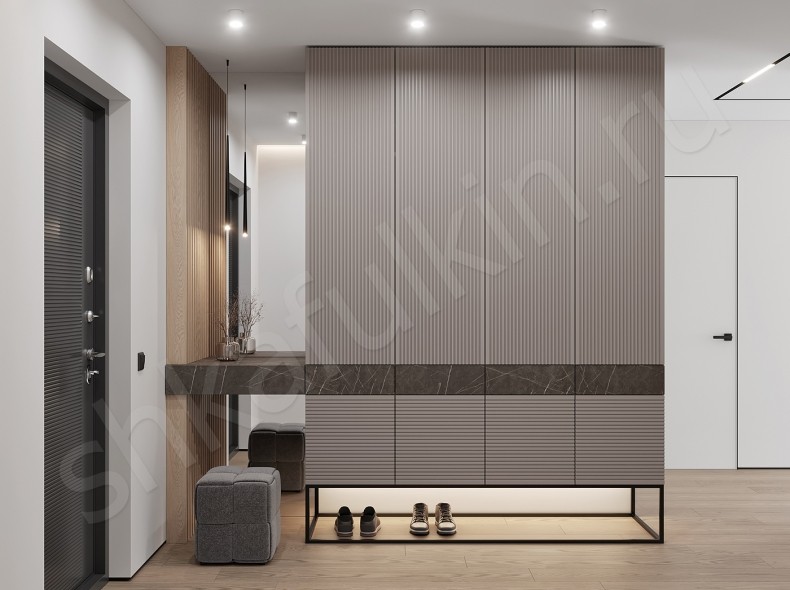 Изображение Шкаф в прихожую Шондер