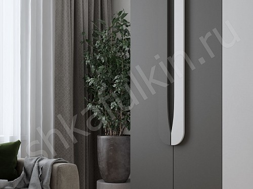 Изображение цвета Шкаф Тигго  Современный 4х створчатые Гостиная 